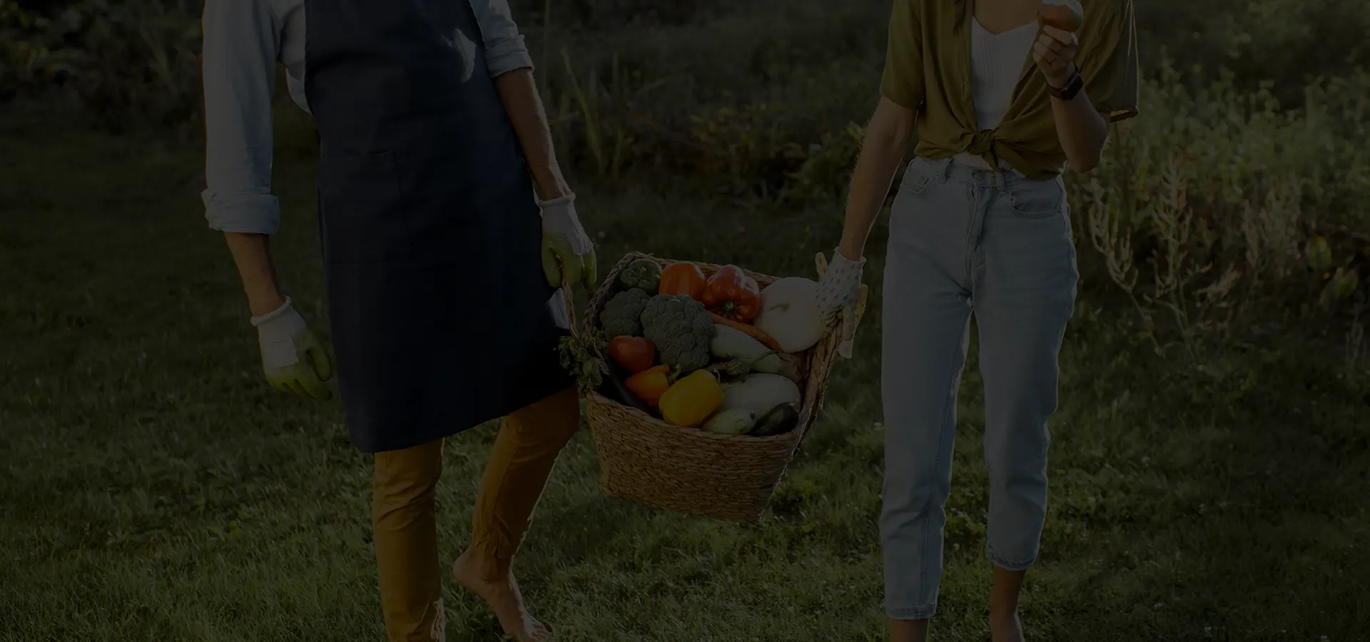 Les bonnes raisons de se tourner vers les aliments biologiques